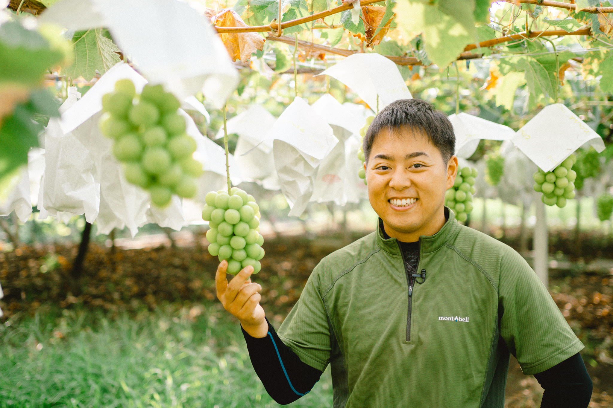 家族経営のぶどう畑をUターンから６年で売上30倍に。果物の世界的ブランド創出を目指す若手社長の取り組み